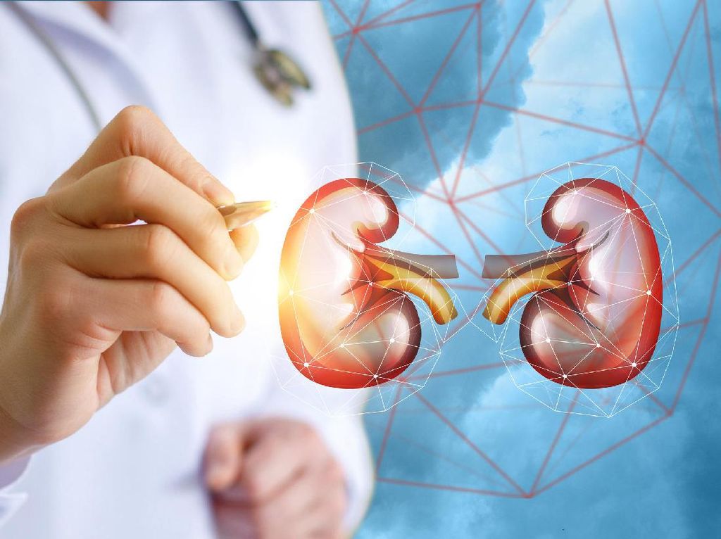 kecerdasan-buatan-dan-penyakit-ginjal-rumah-ginjal-prof-djoko-santoso.jpg