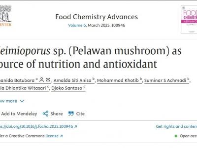heimioporus-sp-pelawan-mushroom-as-source-of-nutrition-and-antioxidant.jpg