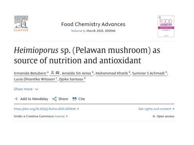 heimioporus-sp-pelawan-mushroom-as-source-of-nutrition-and-antioxidant-prof-djoko-santoso.jpg